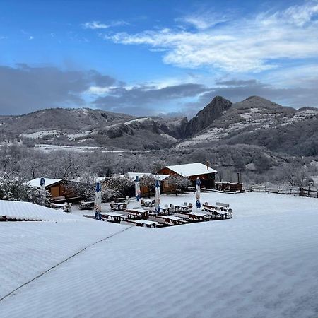 Bodrogeni Căsuțe Hotel Poiana Aiudului Exterior foto