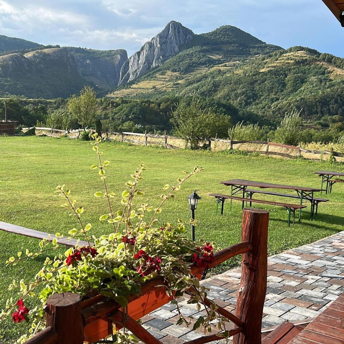 Bodrogeni Căsuțe Hotel Poiana Aiudului Exterior foto