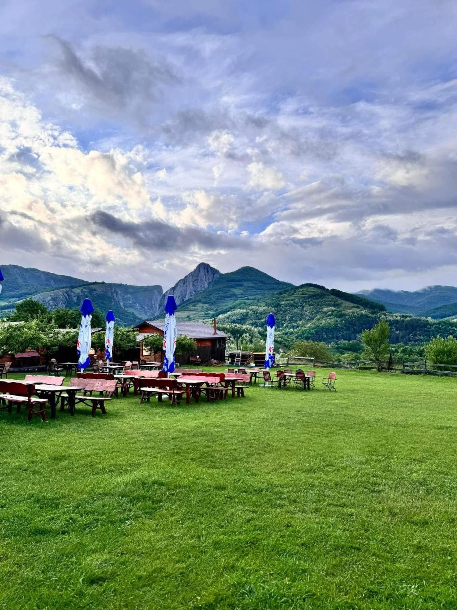 Bodrogeni Căsuțe Hotel Poiana Aiudului Exterior foto